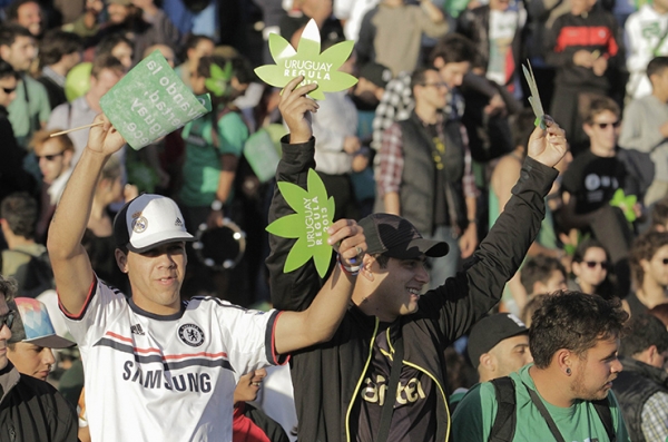 После легализации марихуаны Уругваю приходится бороться с «наркотуризмом»
