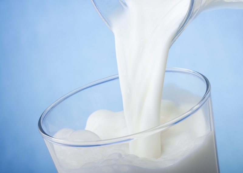 ИНФОГРАФИКА: Что такое безлактозное молоко?