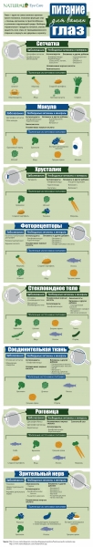 Инфографика: Какие продукты полезны для глаз