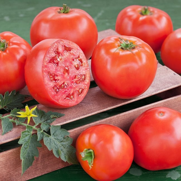 Самые вкусные сорта томатов для теплиц
