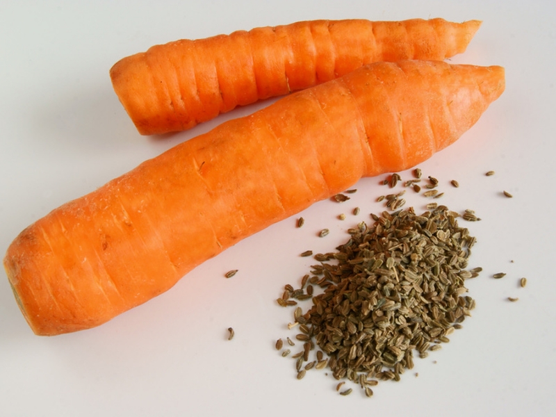 Как пикировать морковь на грядке?