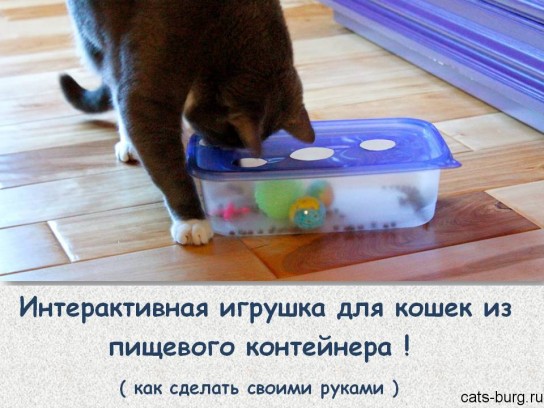 Как сделать игрушку для кота?