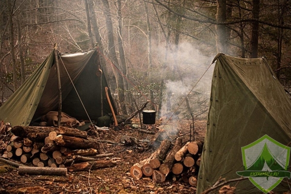 Выживание в лесу или как выжить в походе