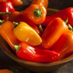 Болезни рассады томатов фото и их лечение