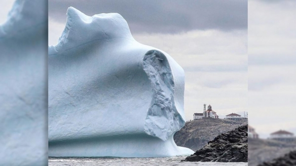По аллее айсбергов Ньюфаундленда шествуют всё более странные исполины