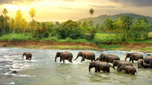Какие места посетить туристу на Шри-Ланке?