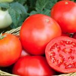 Пикировка томатов в апреле 2019 по лунному календарю