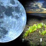 Убывающая луна в июне 2019 г: когда с какого числа?