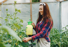 Эффективная защита растений от вредителей: современные методы и методы